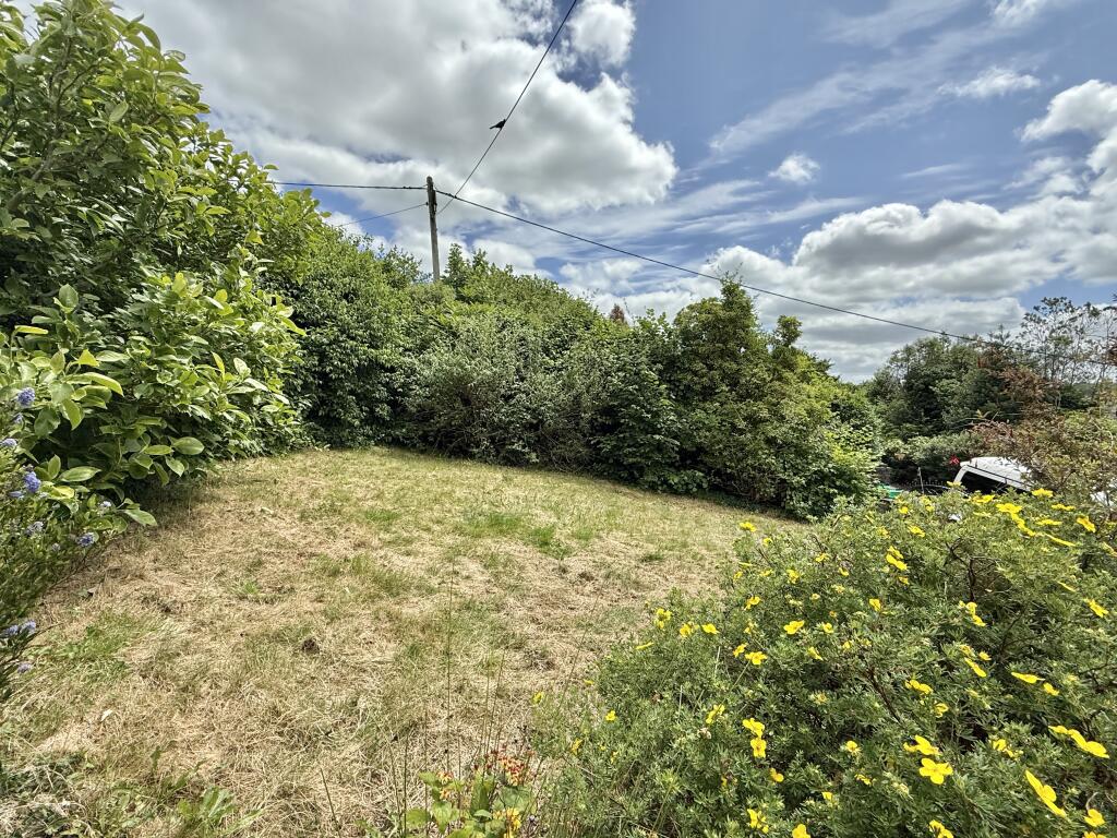 Lawned garden to the front
