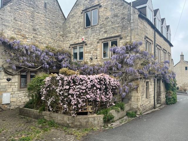 Malt house wisteria.jpg