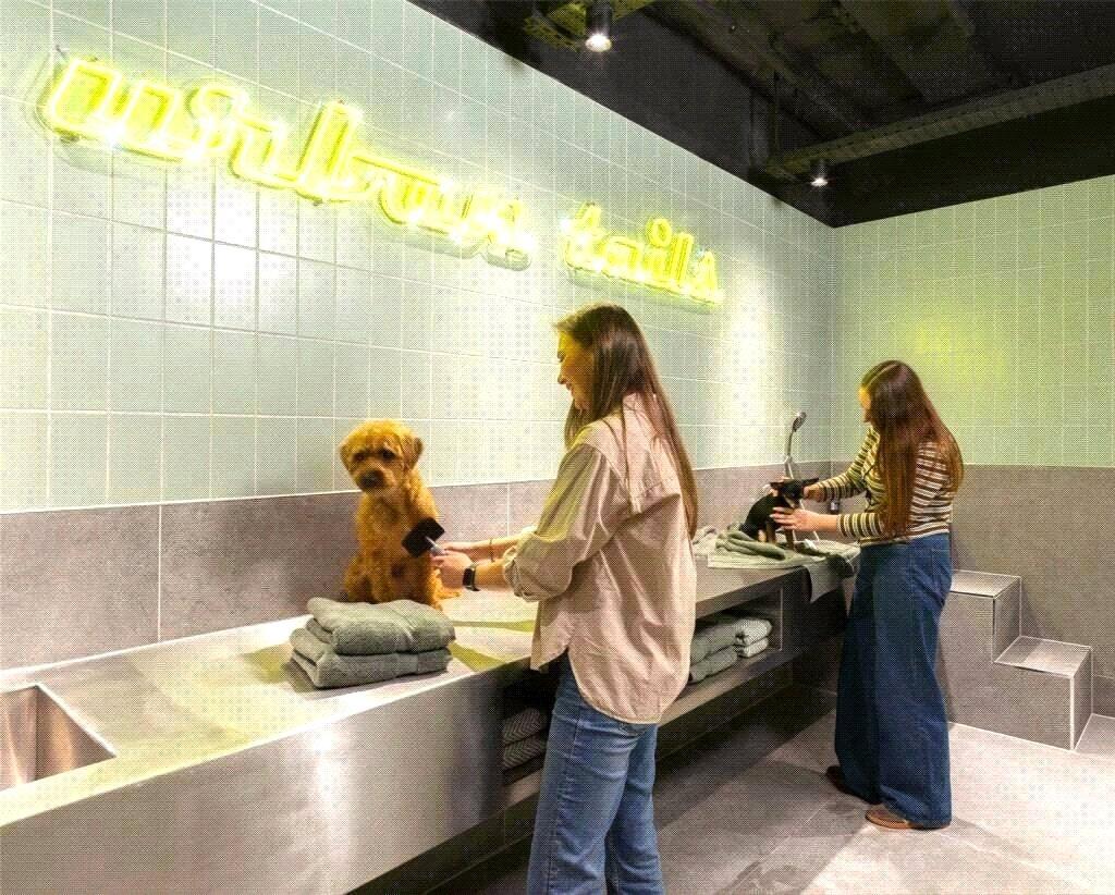 Dog Spa