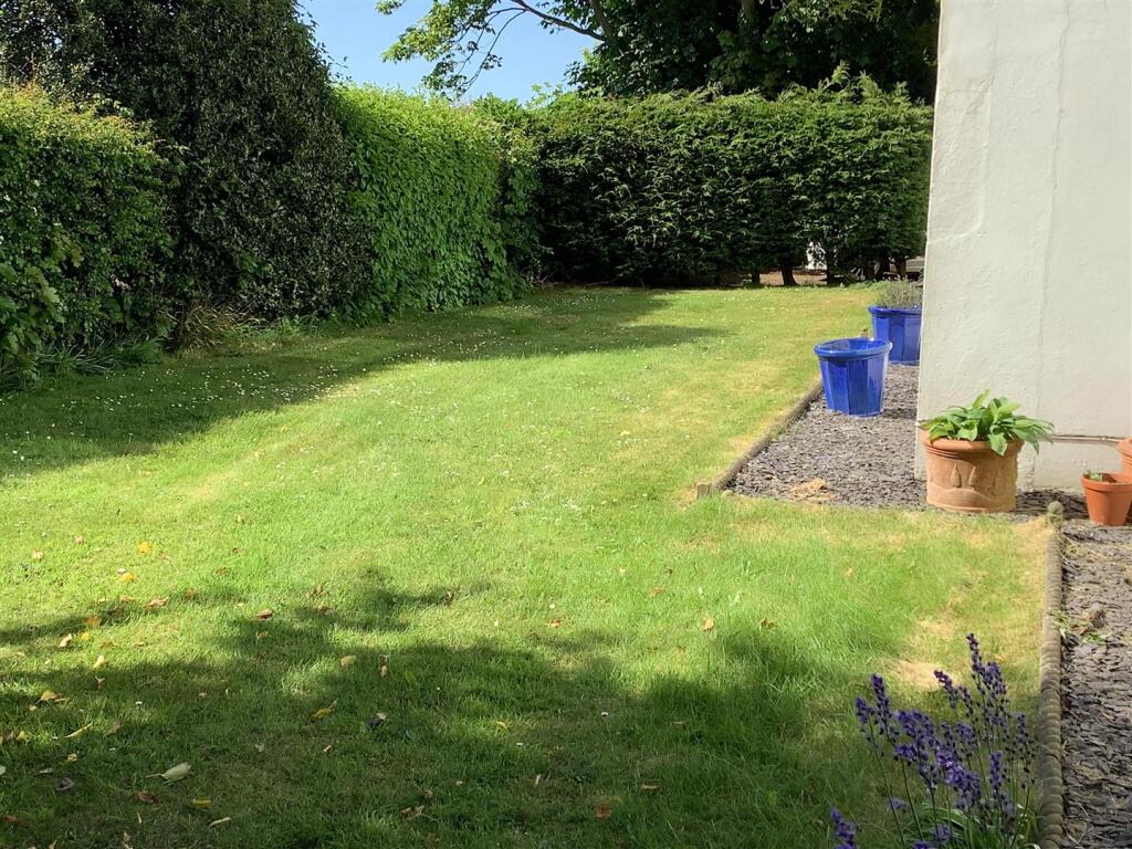 rear lawn.jpg