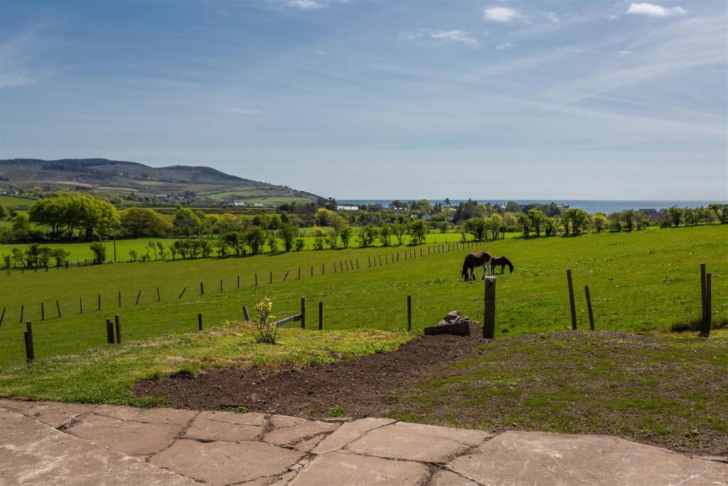 View from The Parlour