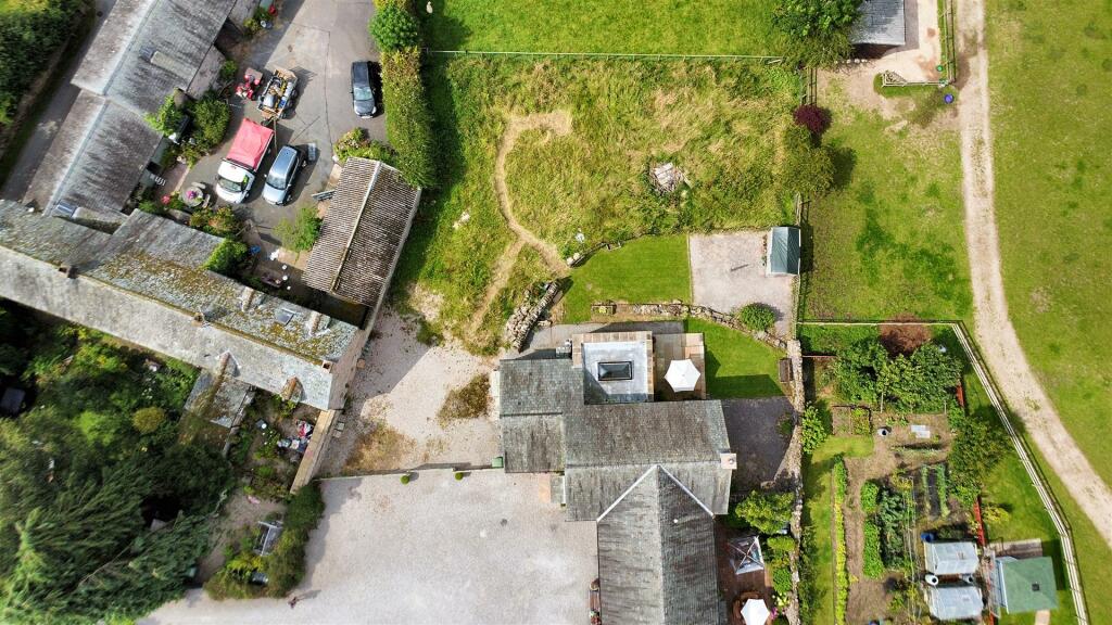 Plot View