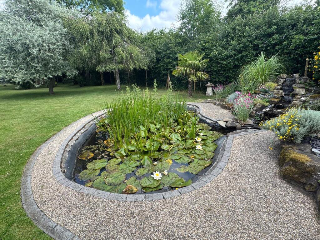 Pond