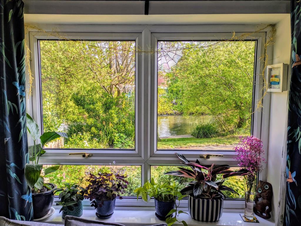 River view