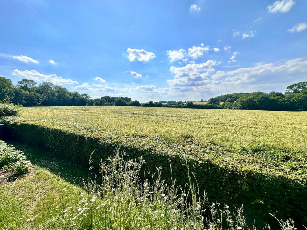 Field Views