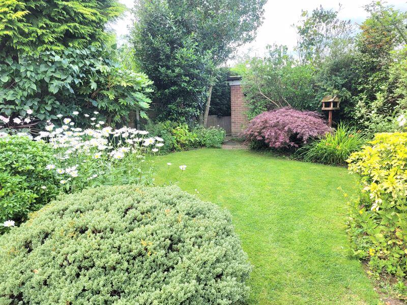 Communal Garden