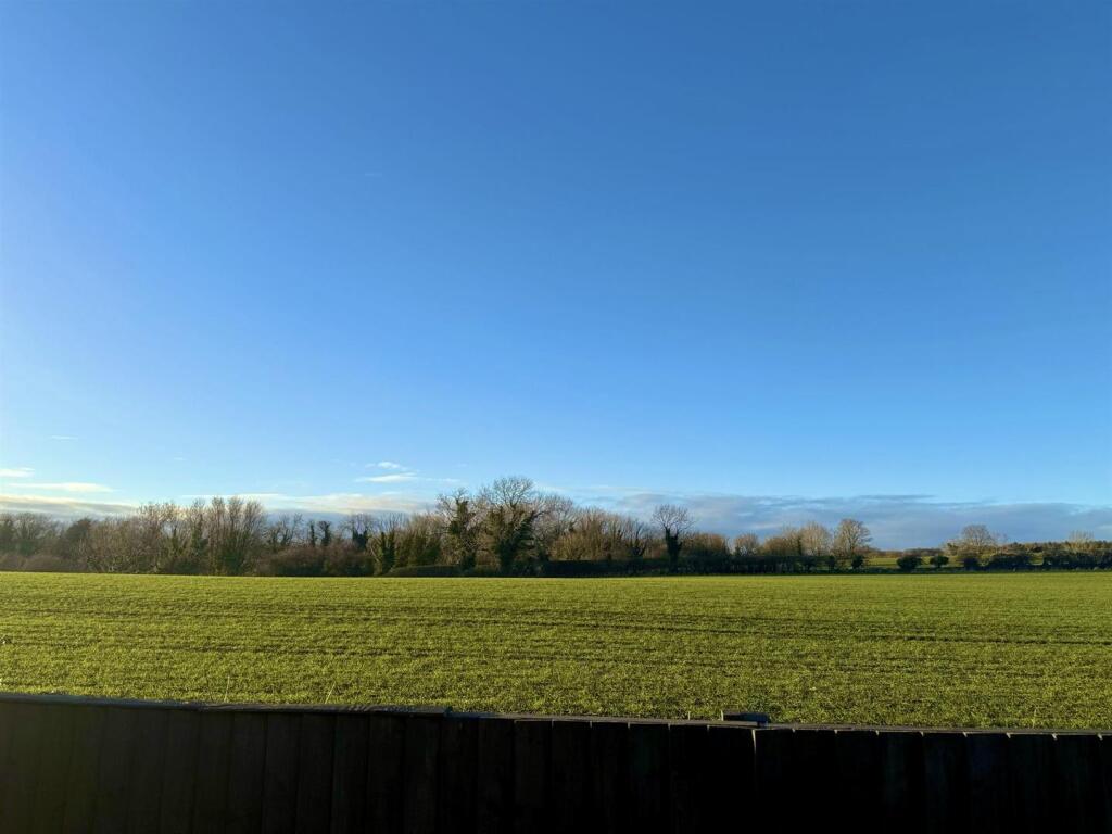 PHOTO-2025-03-11-19-13-51 2.jpeg