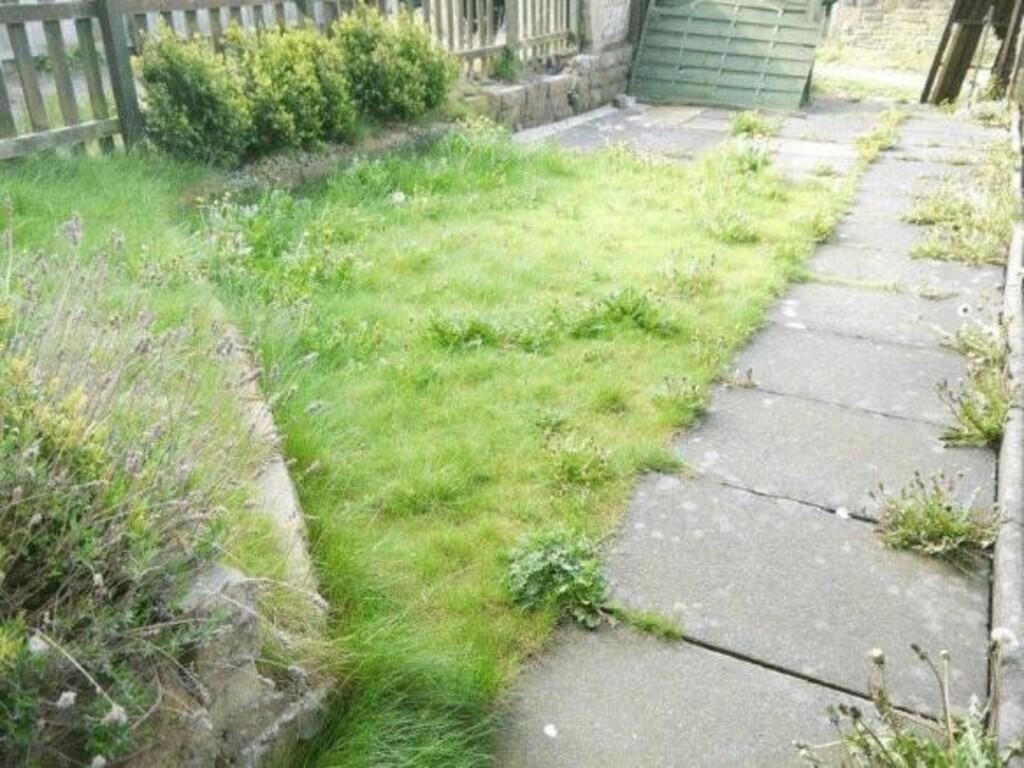 0d06cf29-86884_45...