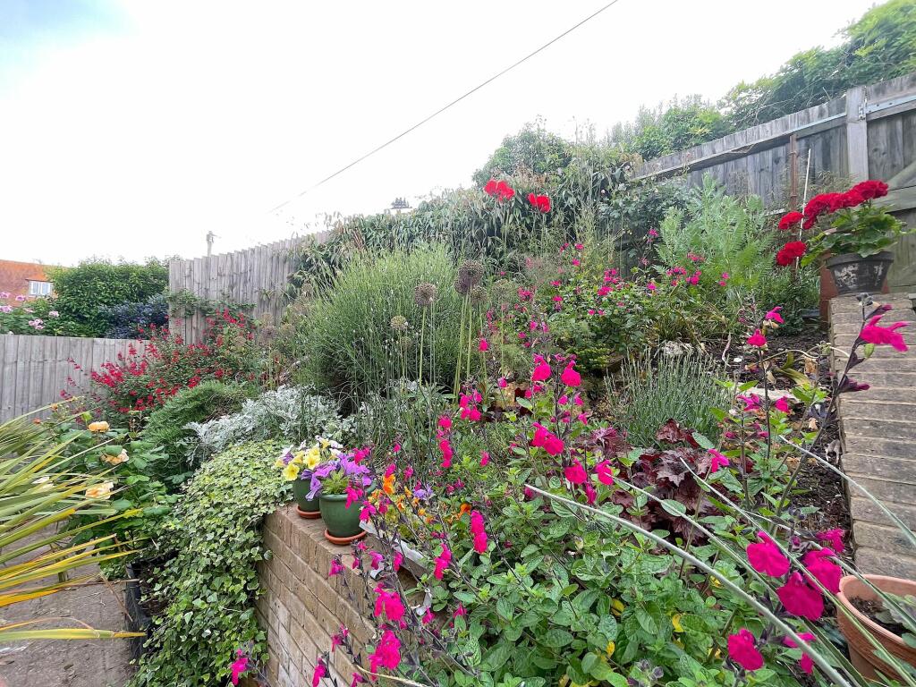 Garden (6)