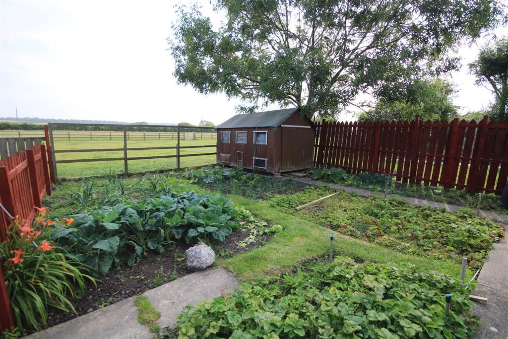 Vegetable Patch