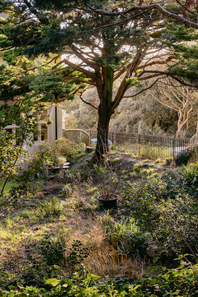 Croft-MazeHill-Hastings-Garden-8