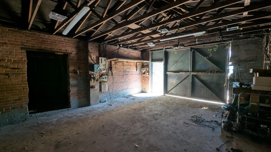 1000016282-unjXEg9uyjoqjXvR