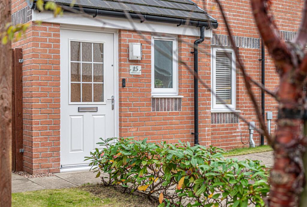 untitled (3 of 1).JPG