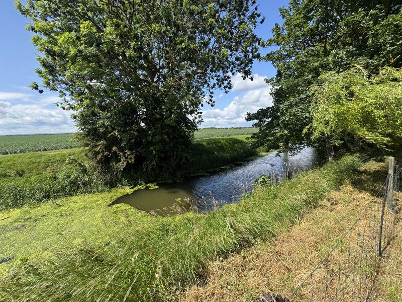 Beck to rear