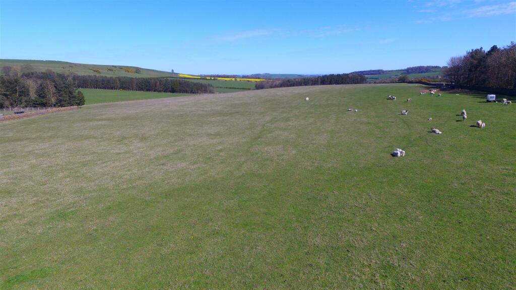DJI_0521.JPG