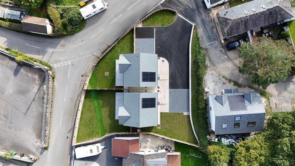 Birds Eye Full Colour.jpg