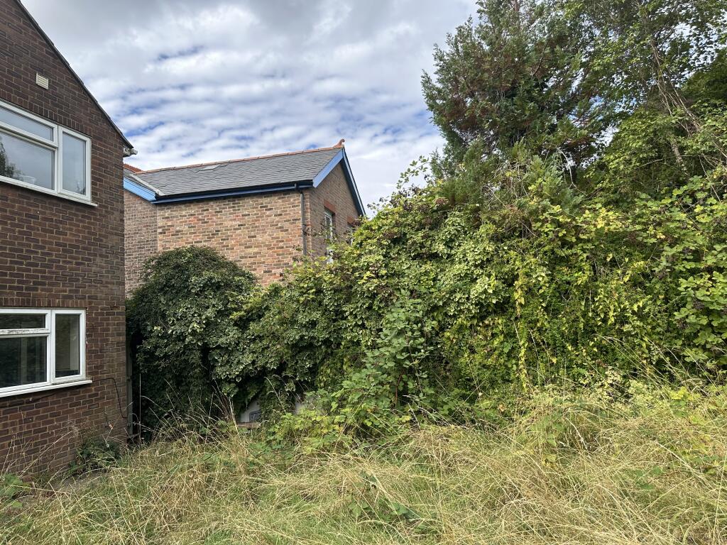 IMG 4637 T202509011412.jpeg