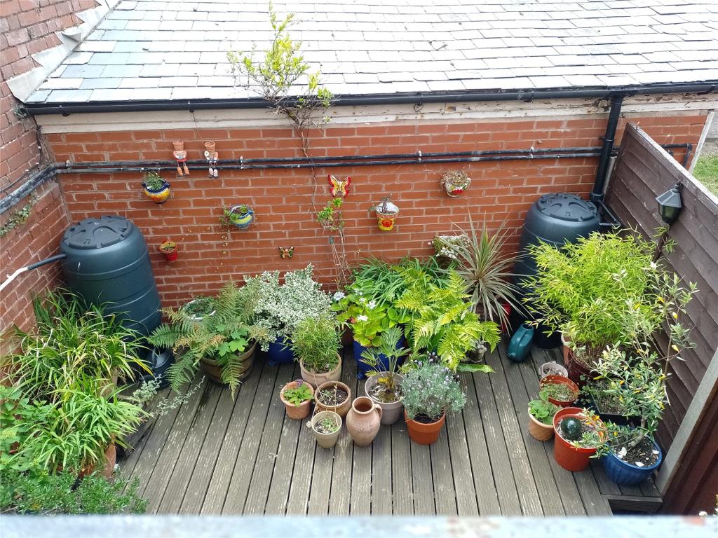 Courtyard Garden