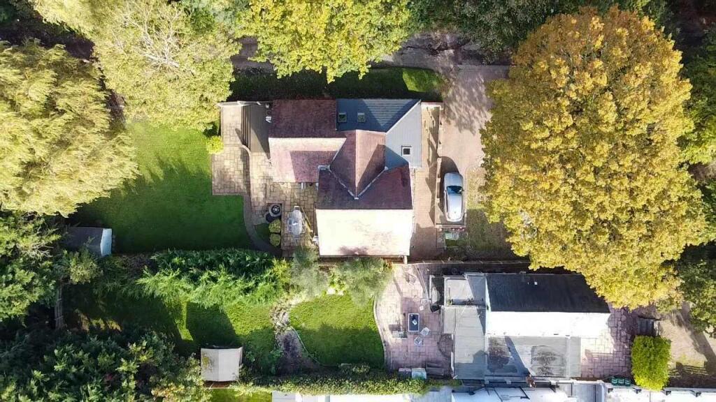 Drone - Citrus Grove3.JPG