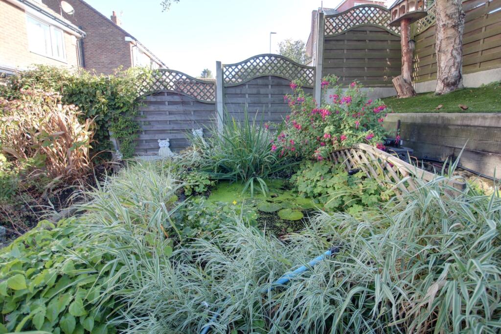 Part of the garden showing the pond