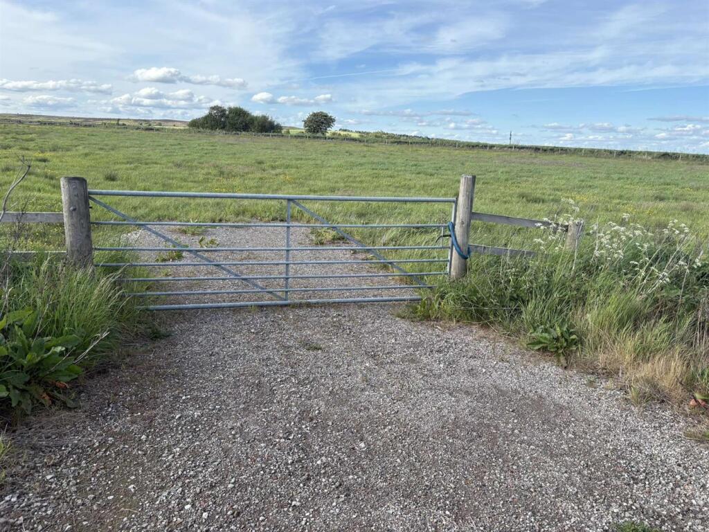 Photo 29-05-2025, 16 04 46.jpg