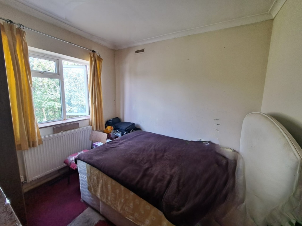 WhatsApp Image 2024-08-10 at 21.46.35