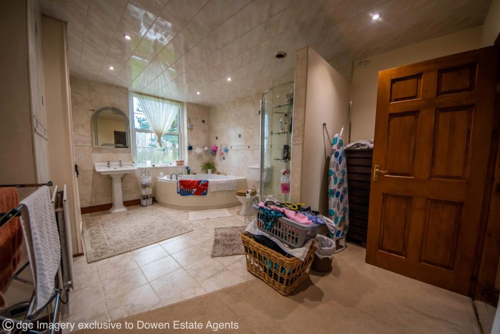 Half-size-13