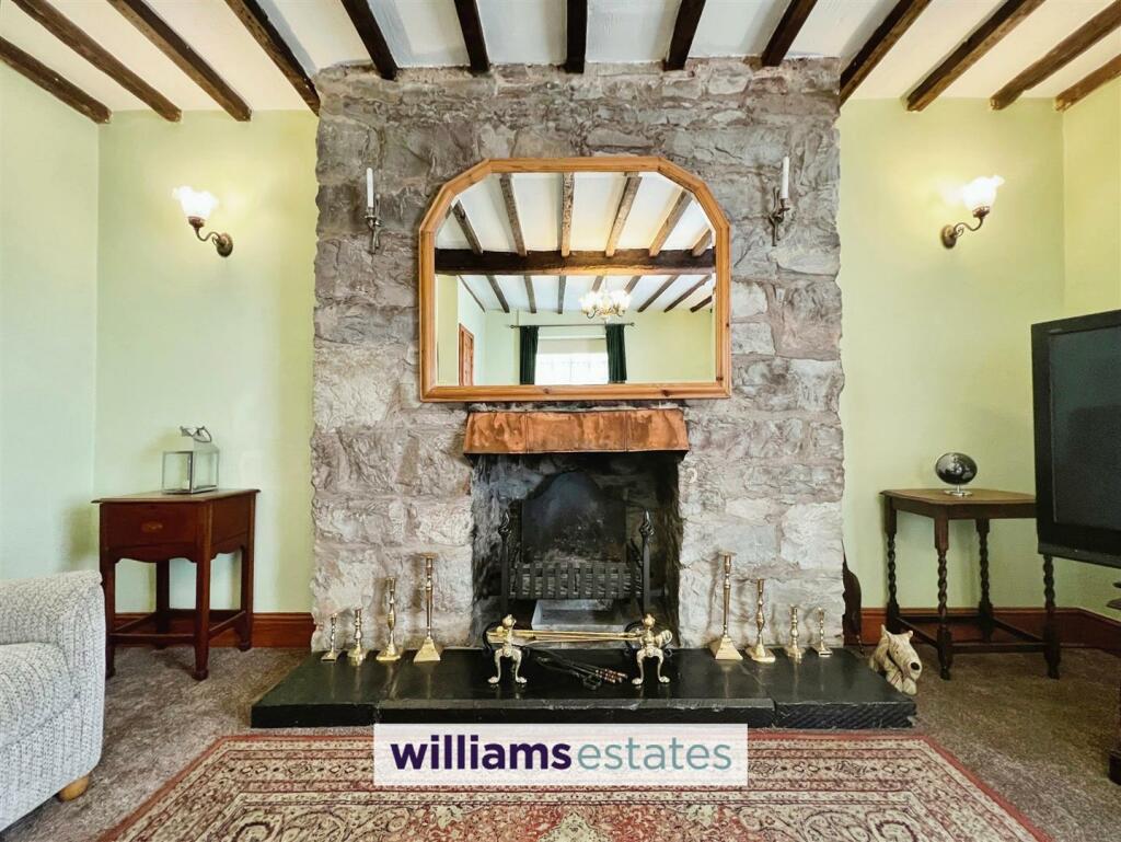 Feature Fireplace