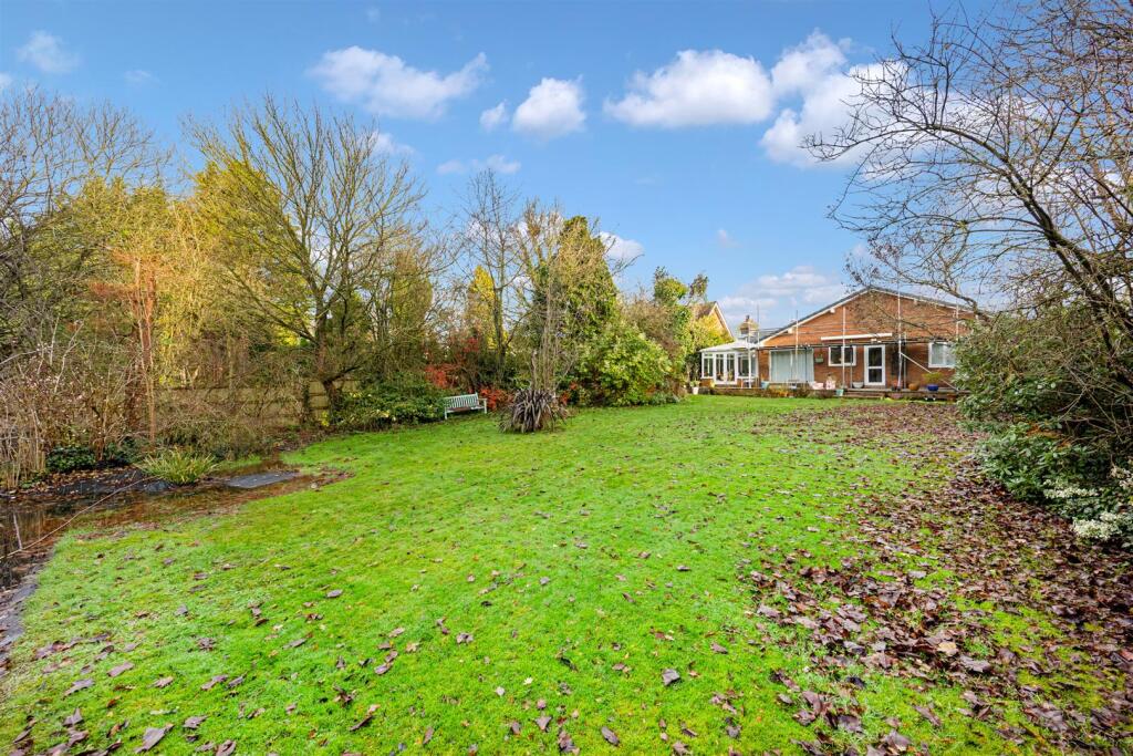 37 Ormskirk Road garden 3.jpg