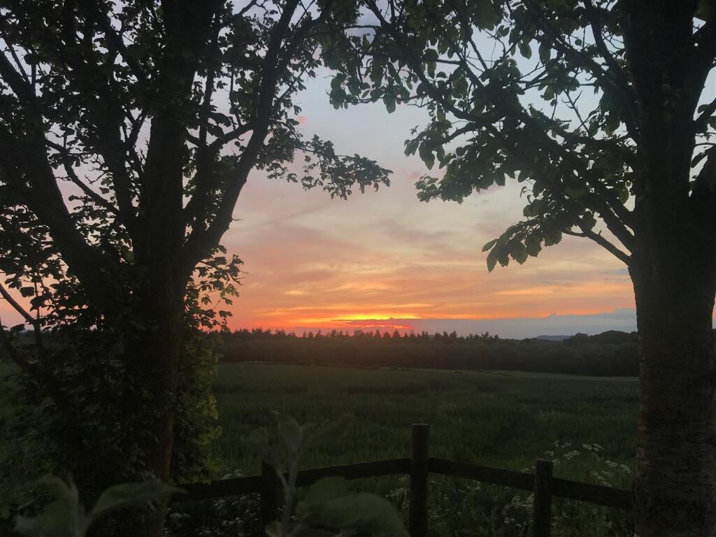 sunset view.jpg