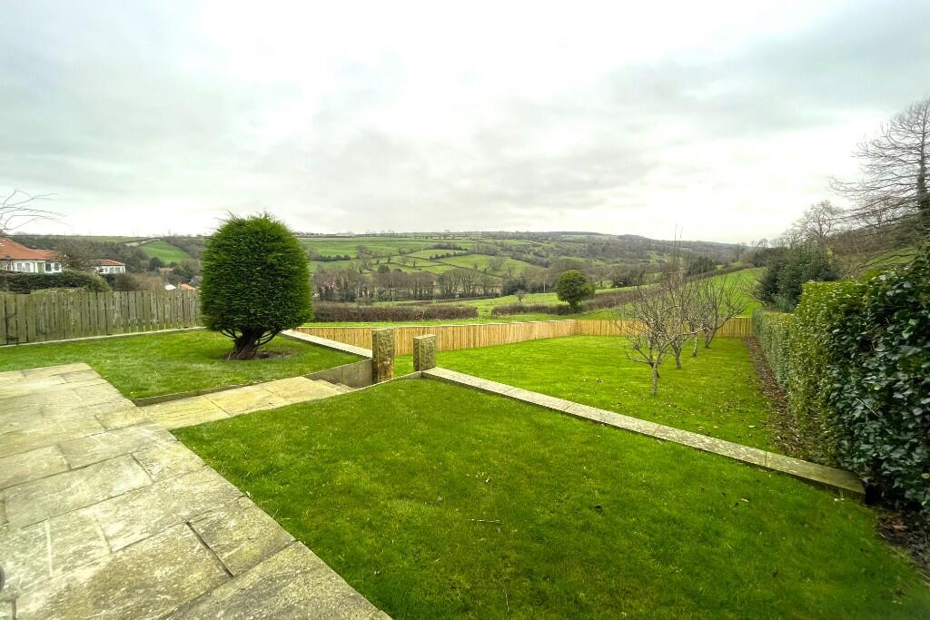 Back Garden