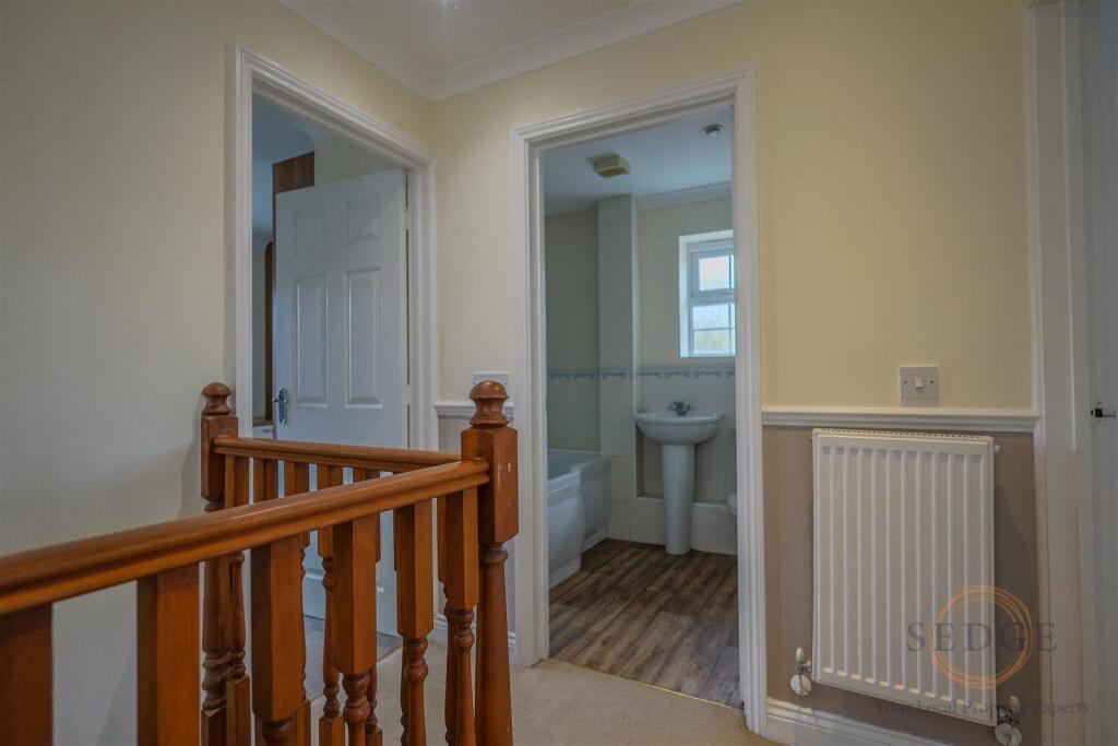 4 mallard close -07.jpg