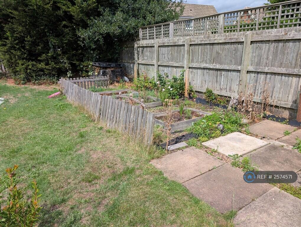 Back  Vegetable Garden