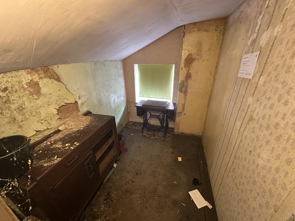 IMG 3505 T202509051354.jpeg