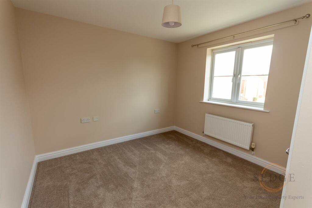 1 swan close-09.jpg