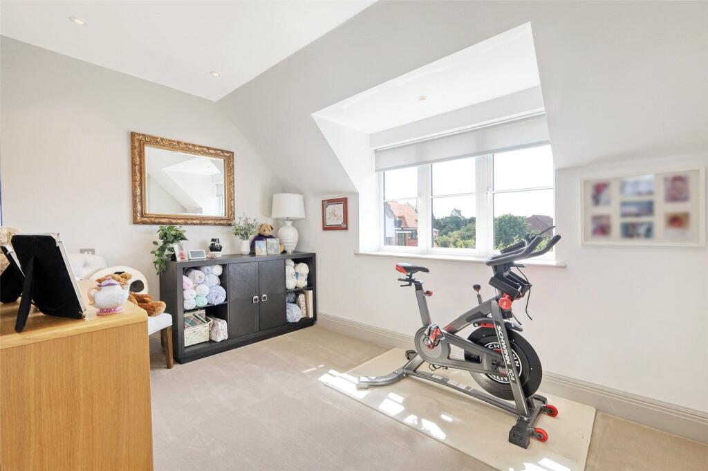 Bedroom/Gym