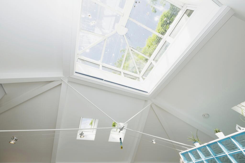 Roof Atrium