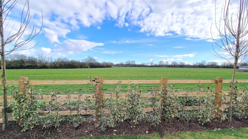 VIEW FROM GARDEN.jpg