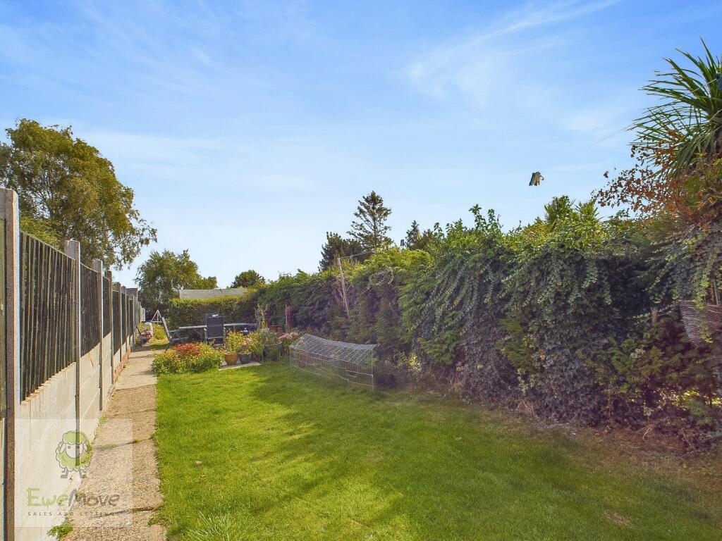 Back Garden