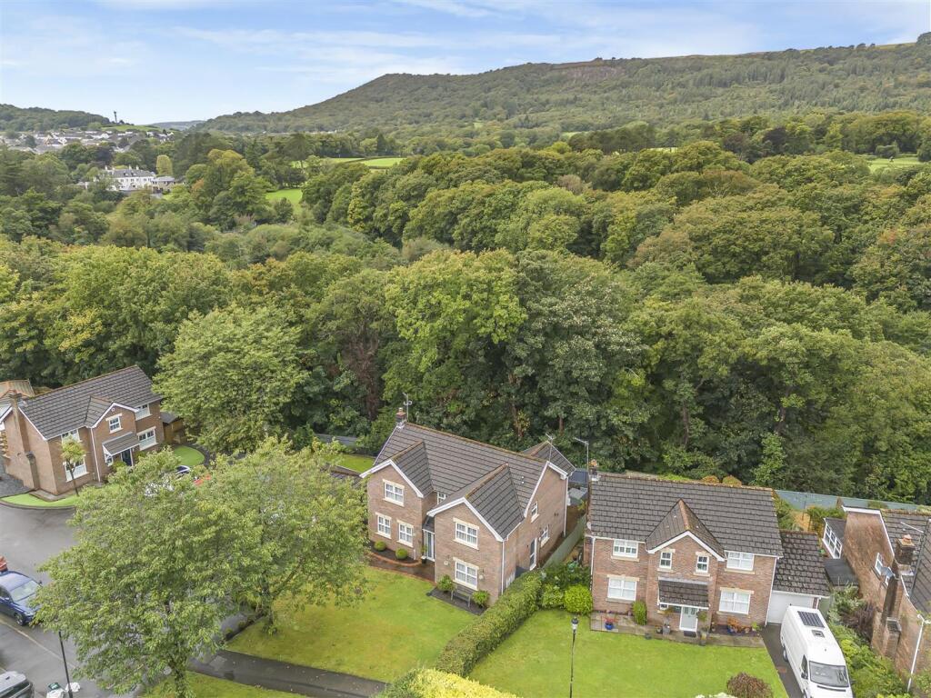 Drone image