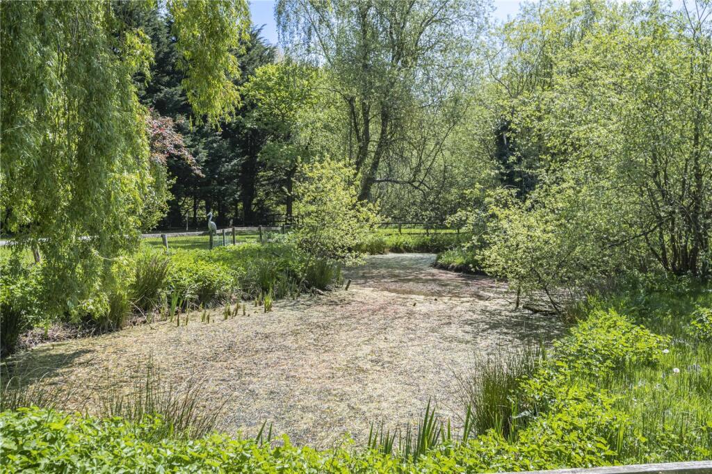 Tree-Lined Pond