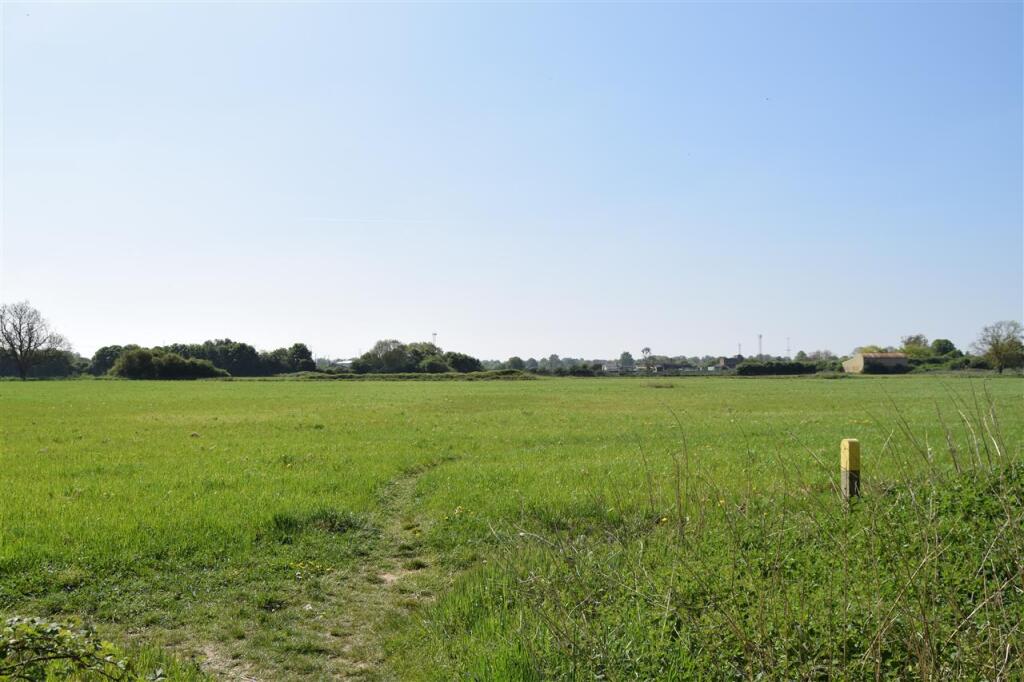 SURROUNDING FIELDS