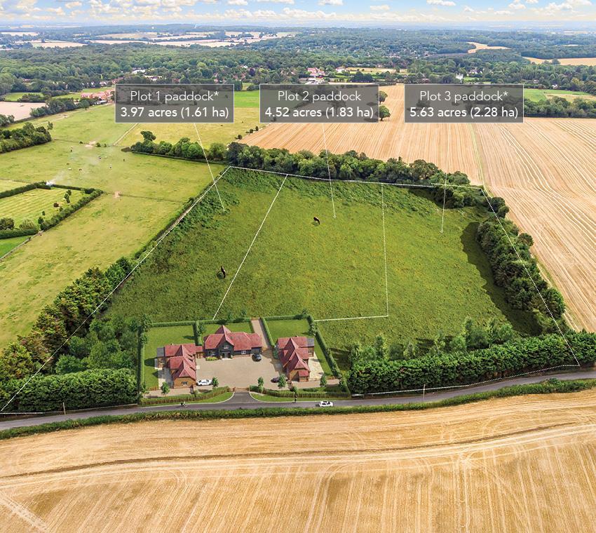 Carriages Web Assets 850px Site Plan3.jpg