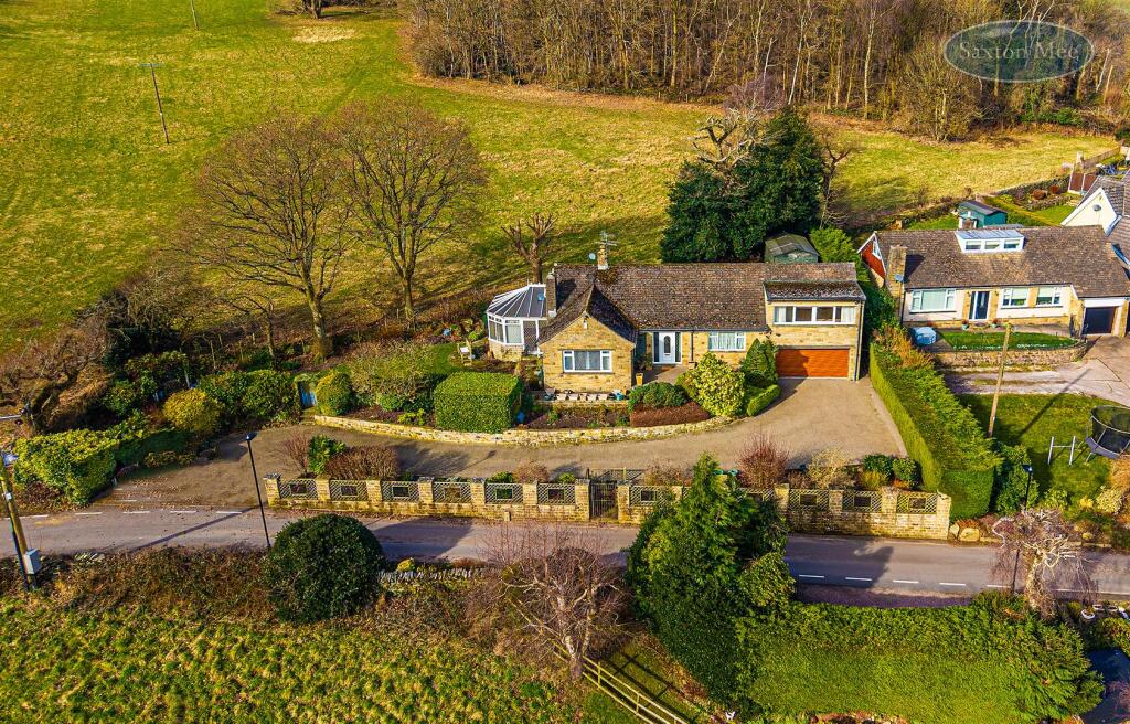 DJI_20250305101551_0505_D copy.jpg