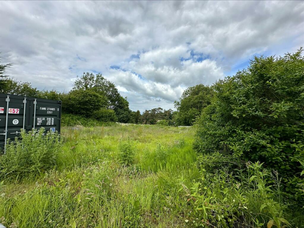 processed-C9C11183-2141-4EB8-BC55-108E8B3E351A.jpe