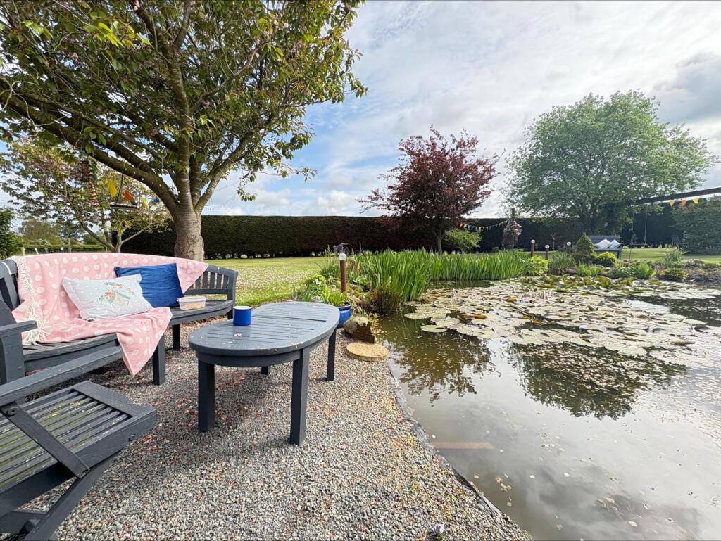 processed-08108964-A44D-4B2F-A3E9-38907D03FF8B.jpe