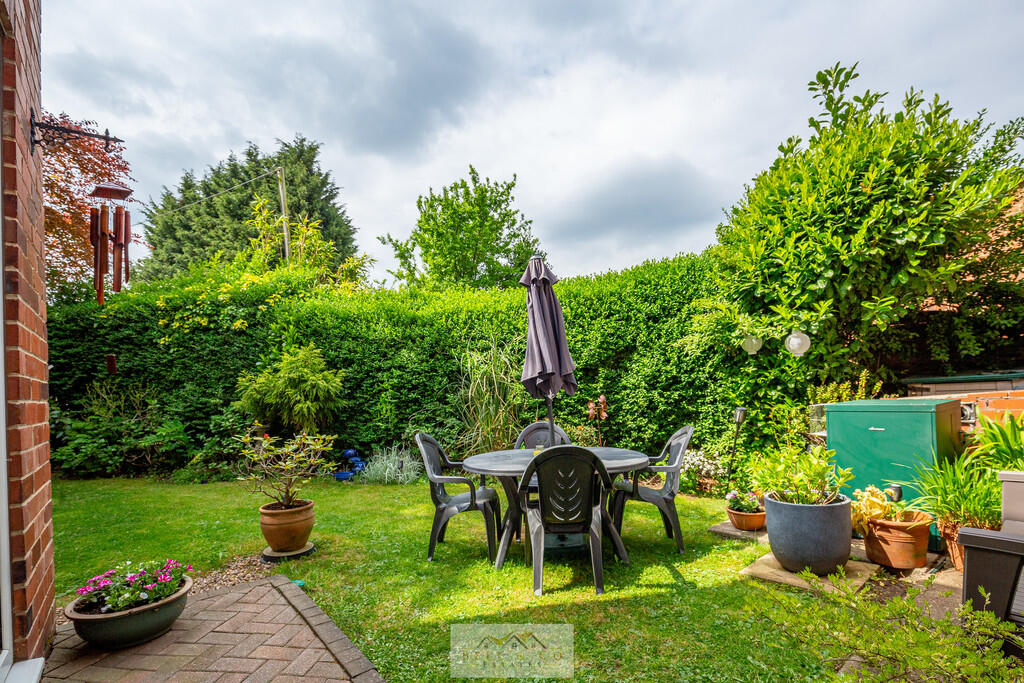 Back garden 1.1