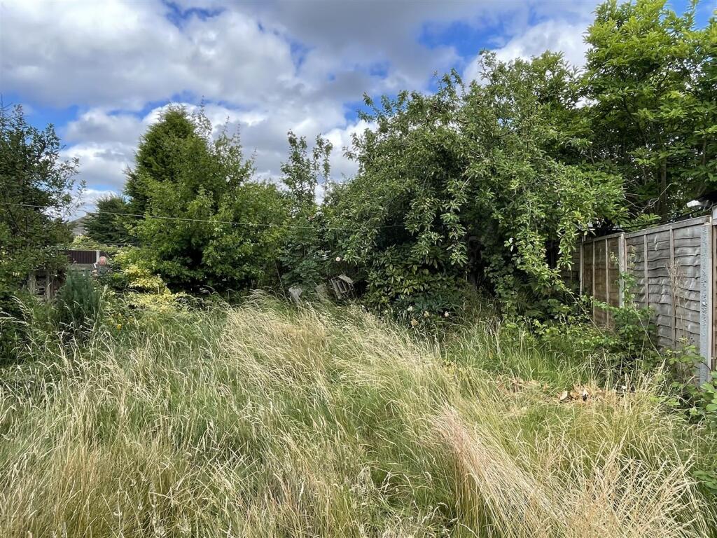 garden.JPG