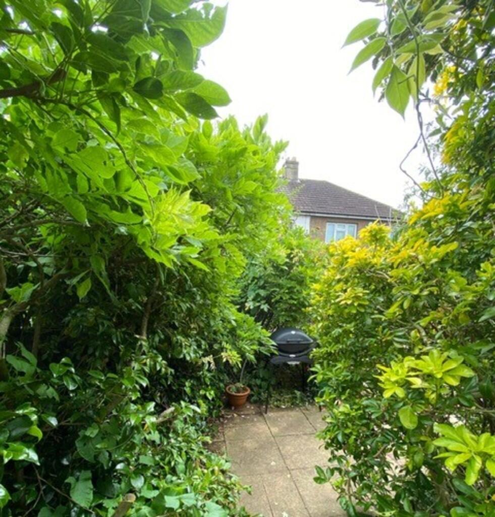 IMG-20251024-WA00...