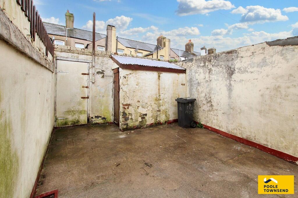 Yard T202510011556.jpg